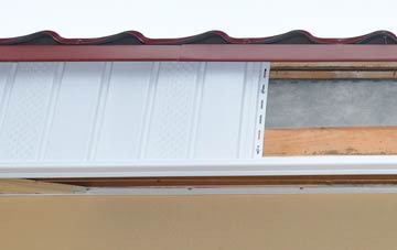 Burton Leonard fascia repair costs