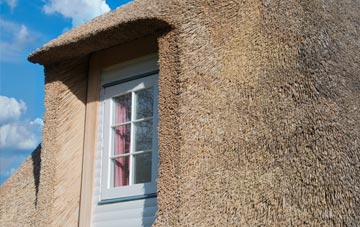 Burton Leonard thatch roof disadvantages