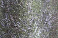 Burton Leonard fibreglass roof work