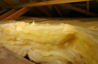 Burton Leonard pitch roof insulation
