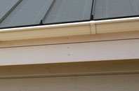 Burton Leonard soffit repair