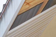 rated Burton Leonard soffit repair companies